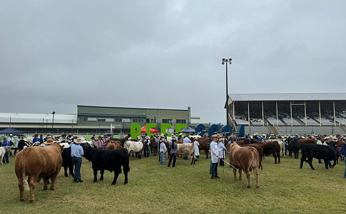 澳大利亚肉产业及肉类加工展览会